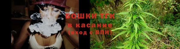 стафф Надым