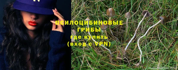 2c-b Михайлов