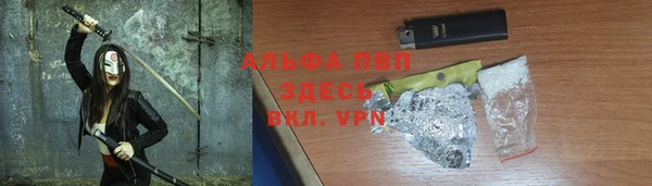 стафф Надым