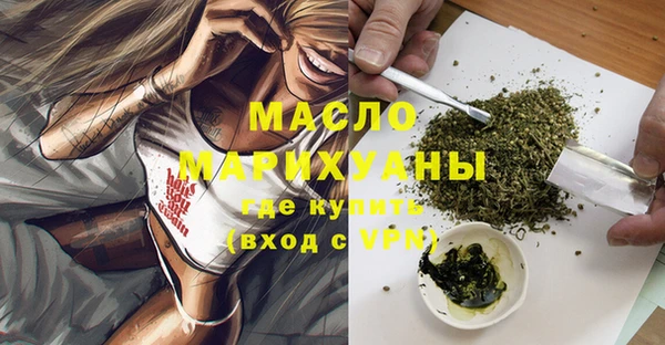 мет Ельня