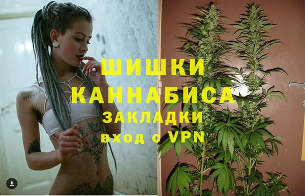 МДПВ Навашино