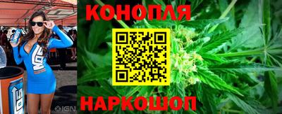 спиды Гагарин