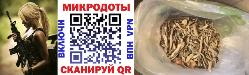 купить  сайты  Красноперекопск  Псилоцибиновые грибы GOLDEN TEACHER 