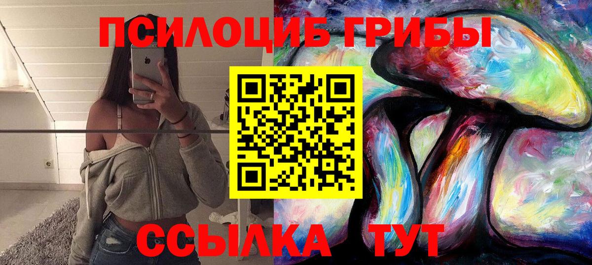 Псилоцибиновые грибы мицелий Красноперекопск