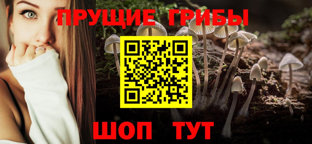Псилоцибиновые грибы MAGIC MUSHROOMS Красноперекопск